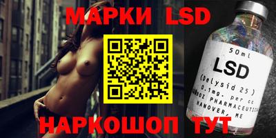 дмт Кингисепп