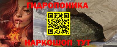 дмт Кингисепп